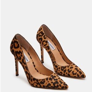 Steve Madden Evelyn- Leopard Print Heels